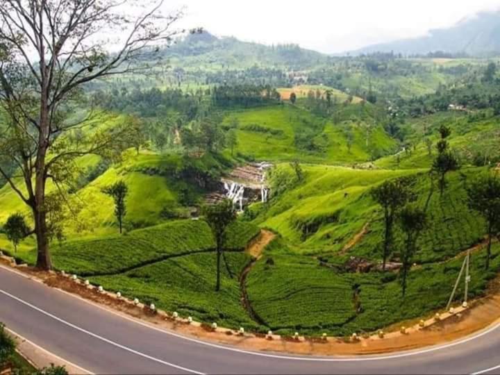 Bed and Breakfast Lily Adam'S Peak Наллатаннія Екстер'єр фото